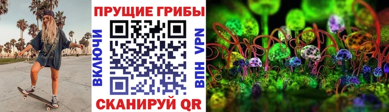 продажа наркотиков  Избербаш  kraken маркетплейс  Галлюциногенные грибы прущие грибы 
